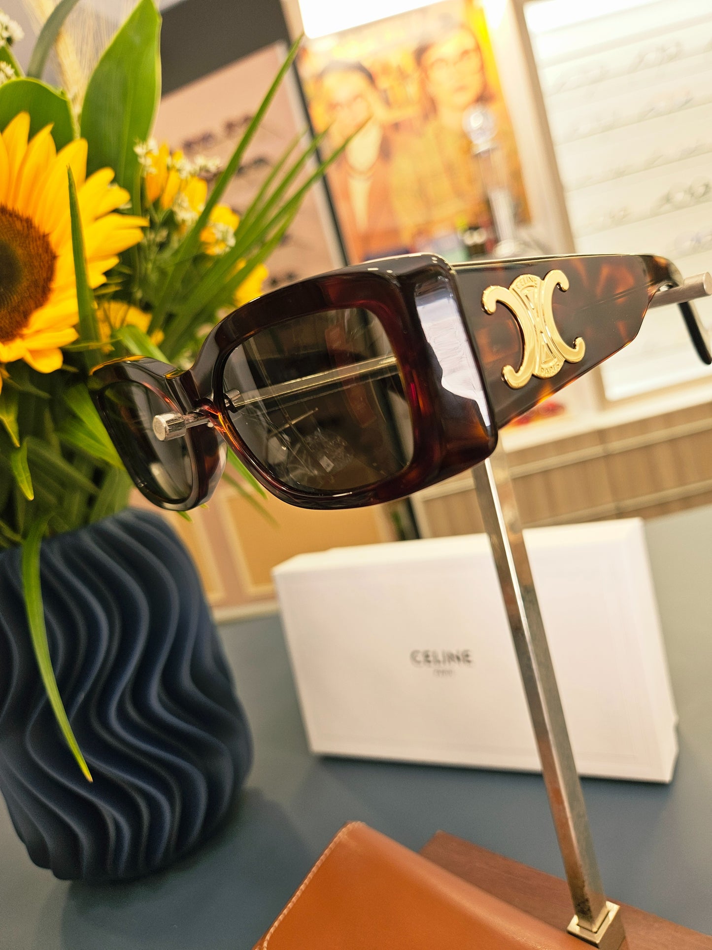 Lunettes de Soleil Triomphe XL 01 en Acétate