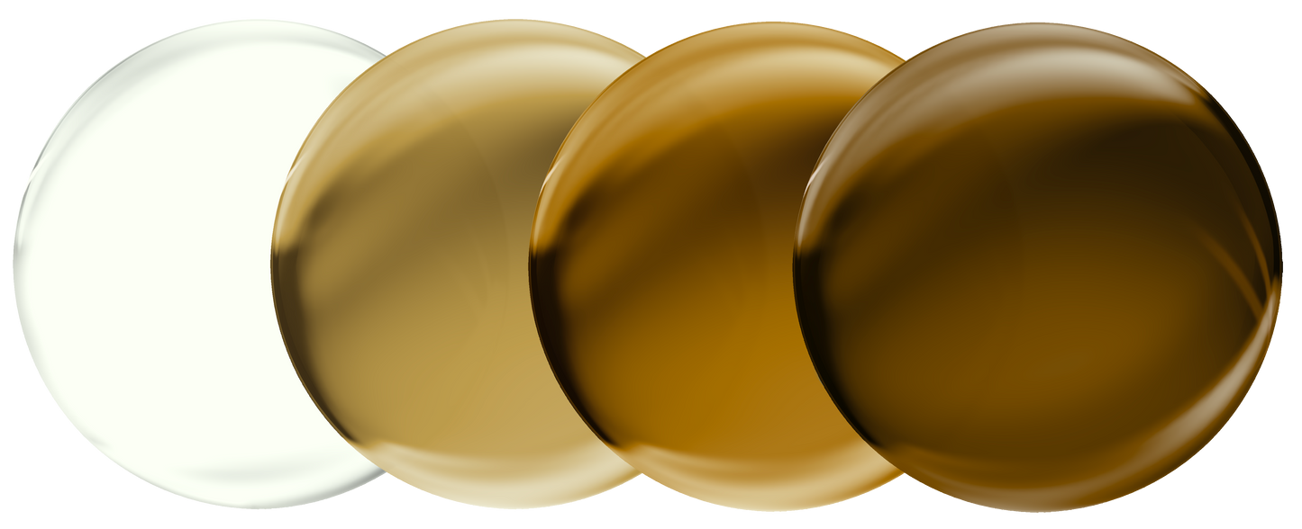 TRANSITIONS GEN S (Nouveau)