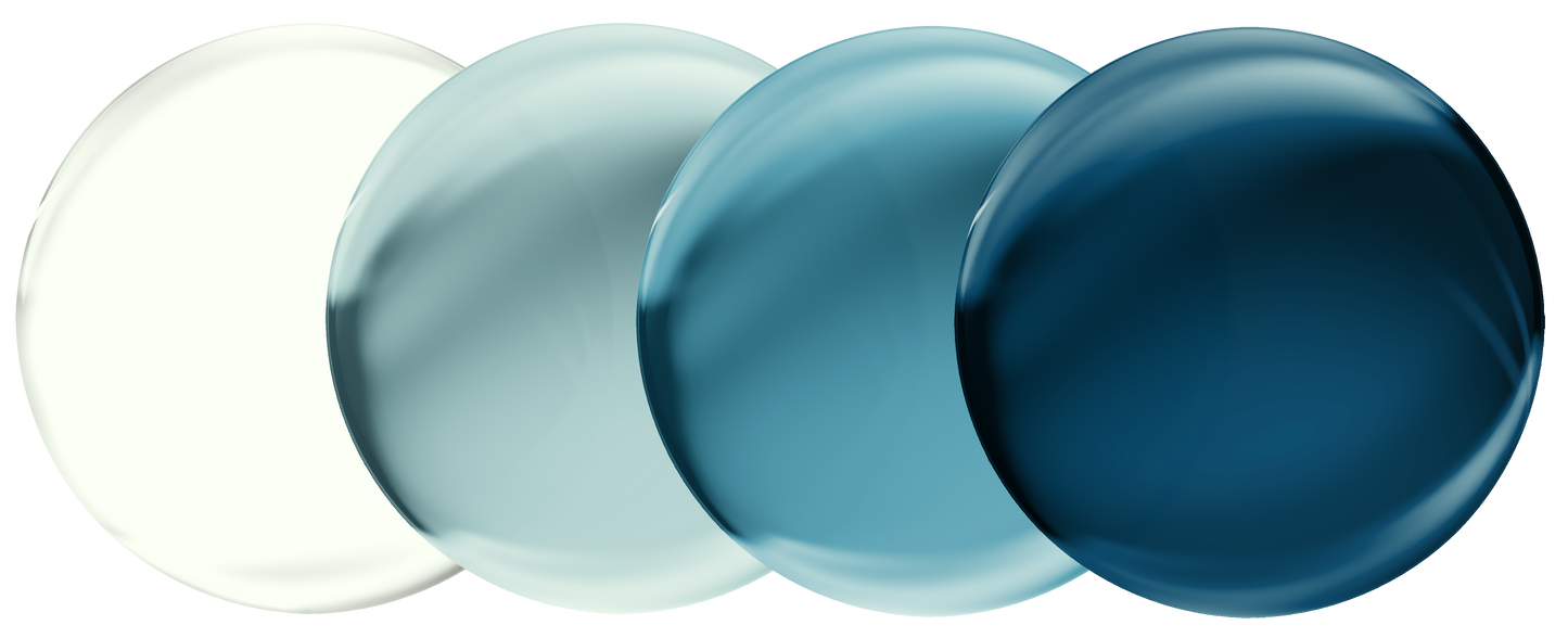 TRANSITIONS GEN S (Nouveau)