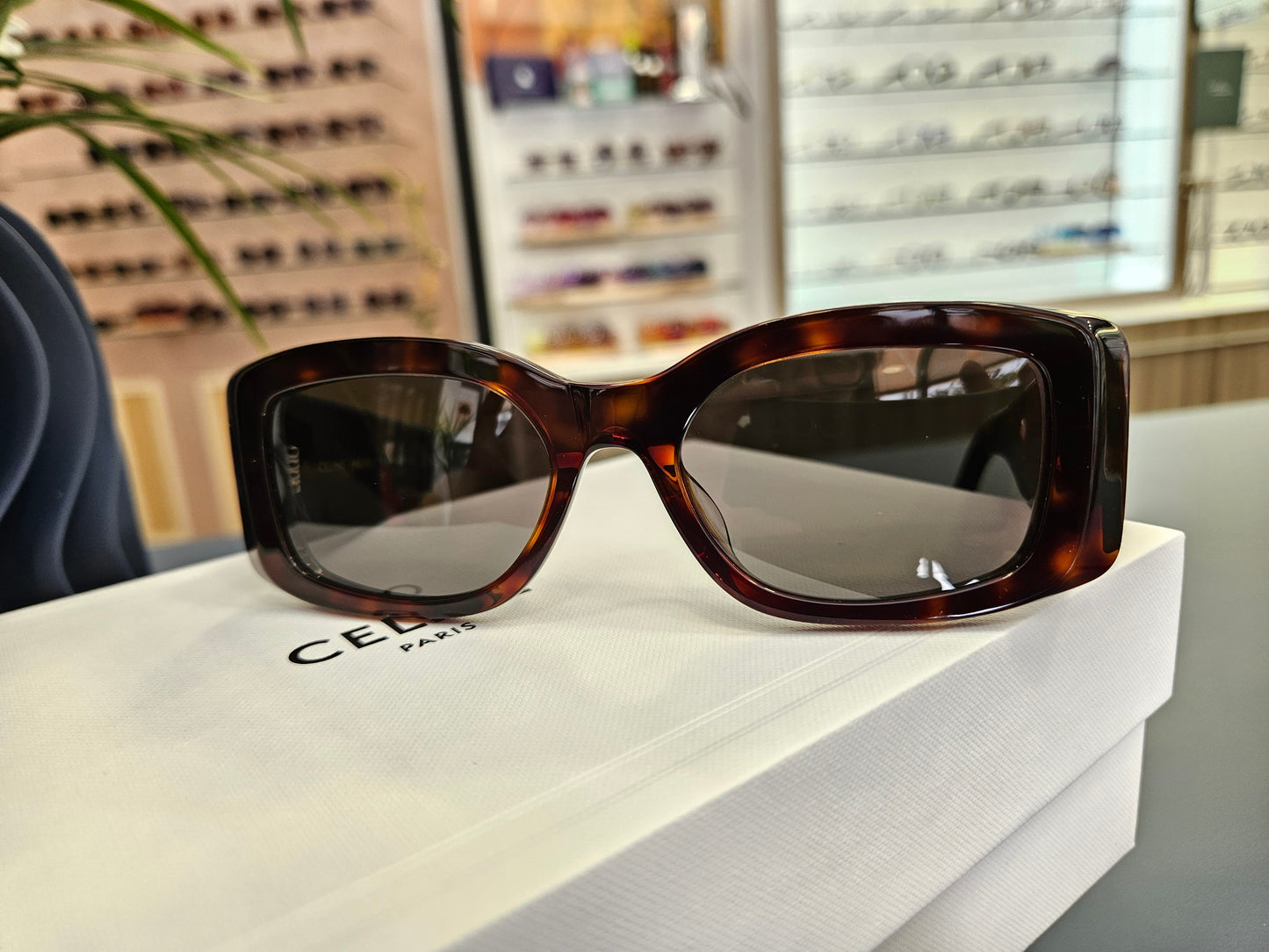 Lunettes de Soleil Triomphe XL 01 en Acétate