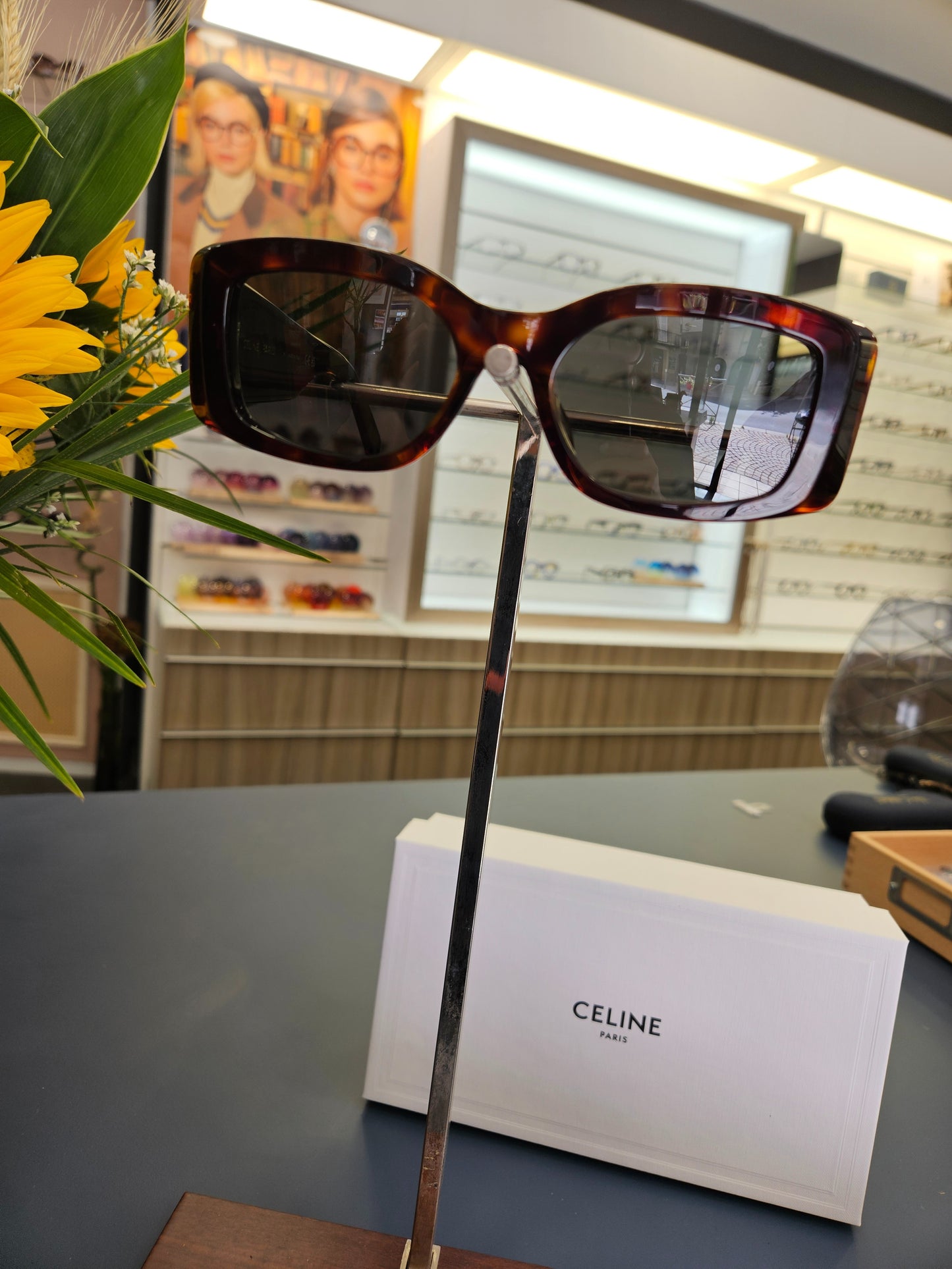 Lunettes de Soleil Triomphe XL 01 en Acétate